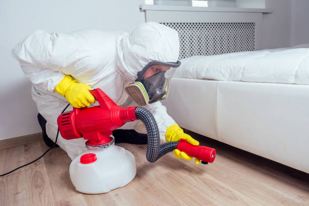 Best Pest Prevention Services  in Eastport, NY